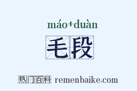 毛段是什么意思的图片